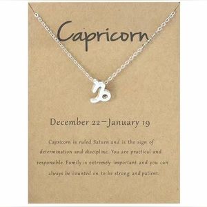 Capricorn ♑️ Zodiac Sign Pendent Necklace NEW